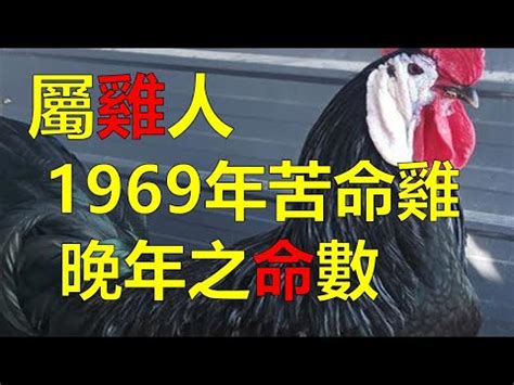 2023屬雞運勢|【屬雞2023生肖運勢】犯太歲險阻多，感情幾經波。